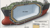 GTT-NEXT1-Membrane GTT NEXT1 Membrane