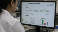 The-Evolution-of-Synthetic-Biology-and-Precision-Fermentation The Evolution of Synthetic Biology and Precision Fermentation