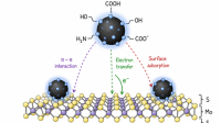 Coal-Derived Carbon Nanodots