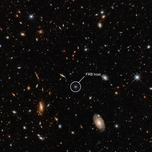 Fast radio bursts