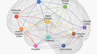 Scientists discover 5 hidden brain patterns behind depression